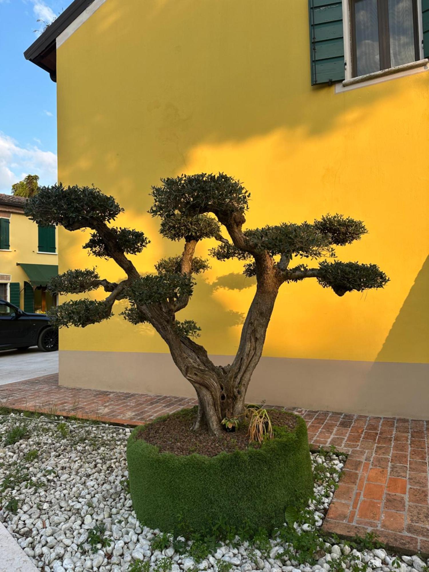 Agriturismo Corte Capiluppia Curtatone Luaran gambar