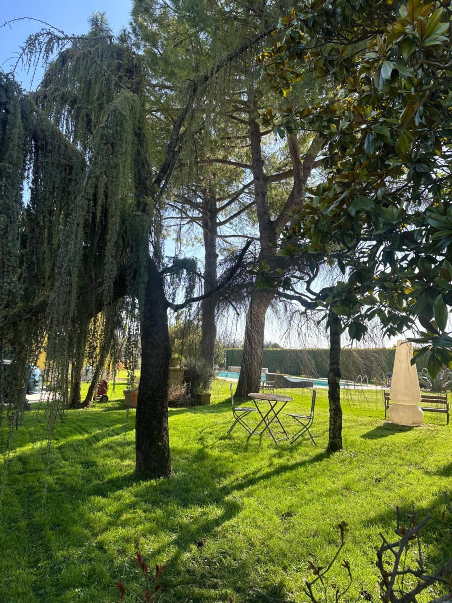Agriturismo Corte Capiluppia Curtatone Luaran gambar